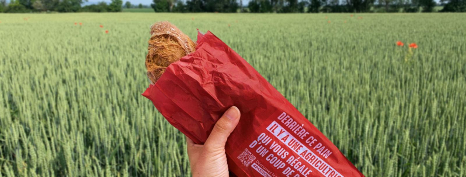 Baguette dans un emballage Passionnément Agri devant un champ de blé